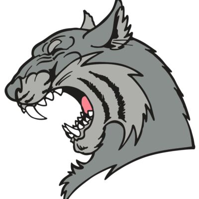 AR WILDCAT 41 RC Thumbnail